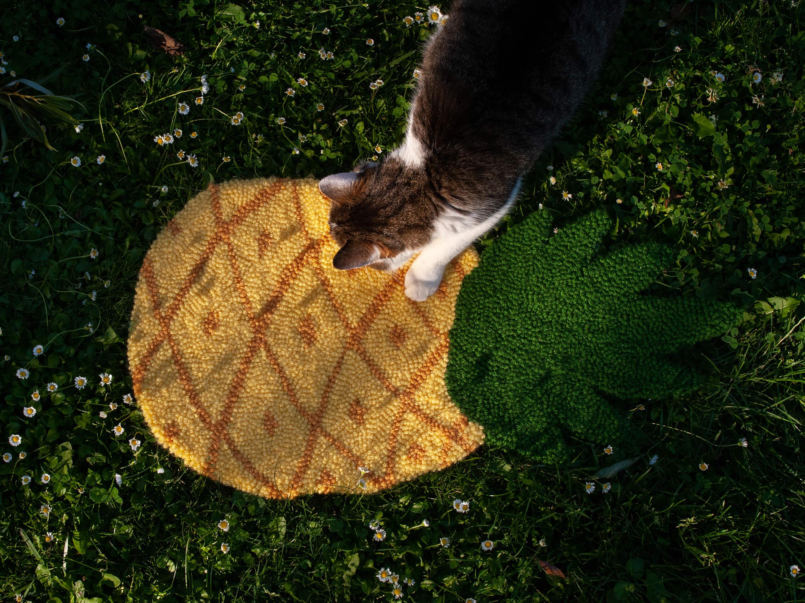 Kot na dywanie ananasie