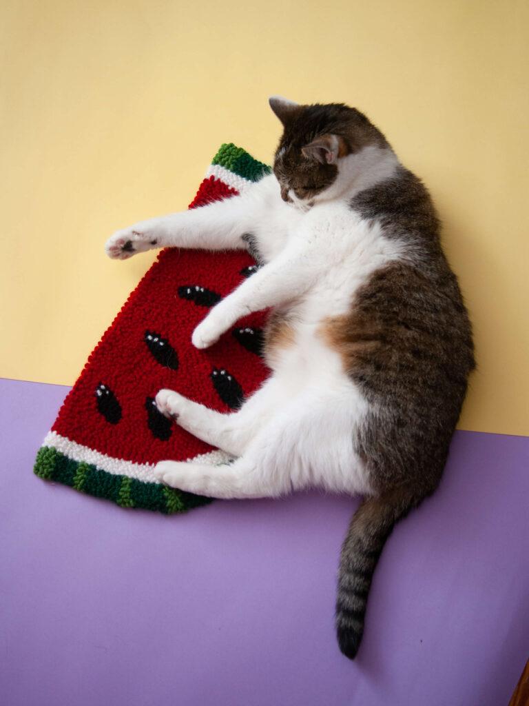 Kot na dywanie arbuzie